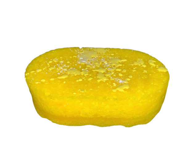 Daisy Chain Soap Sponge